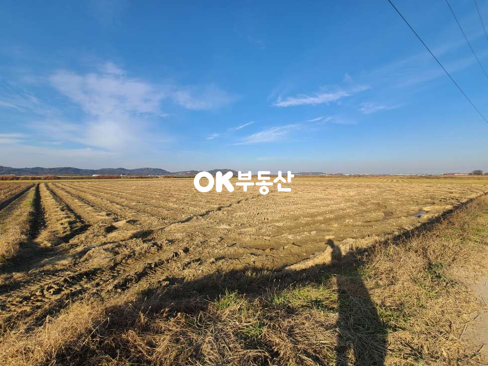 충남 아산시 영인면 창용리 ❤️평당20만❤️1000평❤️눈앞에 아산만이 펼쳐진 ~!!❤️ 매매 매물번호 17840 사진 5