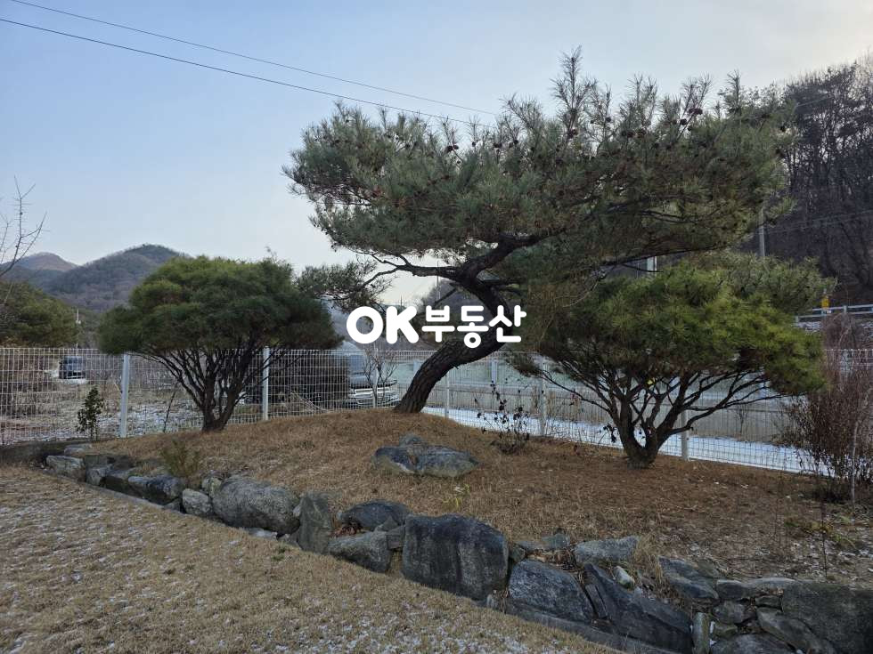 충남 아산시 송악면 수곡리 기초부터 다르다! 송악면 308평의 넓은 부지☆견고한 철콘 명품주택•감성 벽난로☆ 매매 매물번호 17980 사진 6