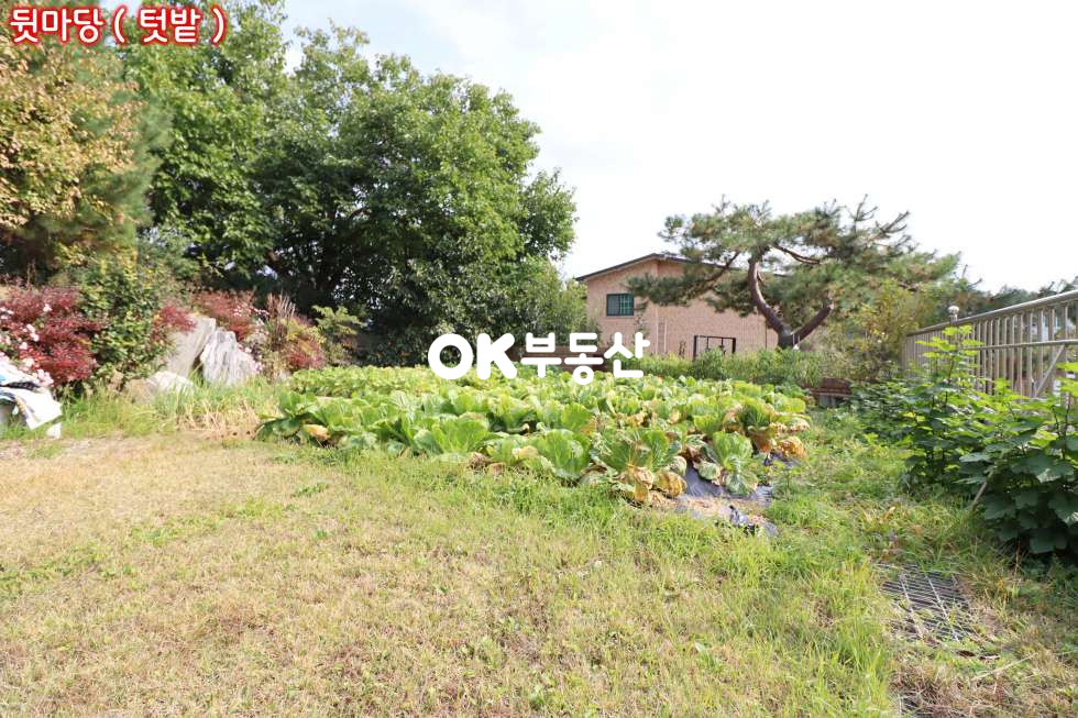 충남 천안서북구 입장면 시장리 천안전원주택매매 단지 내 최고의 대장자리 웅장한 표현이 어울릴 대지 평수와 더불어 국유지 활용도까지 겸비한 주택 ( 대지 : 450평 / 건물 연 : 67평 ) 매매 매물번호 13806 사진 46