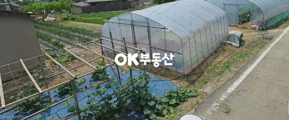 충남 천안서북구 입장면 유리 도로인접, 접근성 좋은 입장면 알짜대지 ☆소액투자 • 전원주택 • 주말농장 강력추천☆ 관리잘된 평평한 나대지 매매 매물번호 18189 사진 1