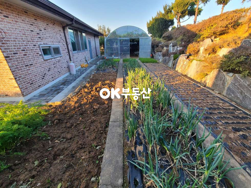 충남 천안서북구 입장면 호당리 ❤️예쁜잔디마당과 포도나무까지❤️ 매매 매물번호 17841 사진 6