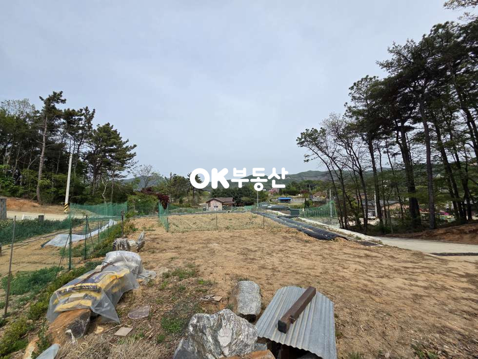 충남 천안서북구 입장면 홍천리 입장ic , 생활편의시설 가까운 주택지매매 ★토목,기반시설인입완료,건축허가득,프라이빗하고 풍광 좋은 집터! 매매 매물번호 18329 사진 3