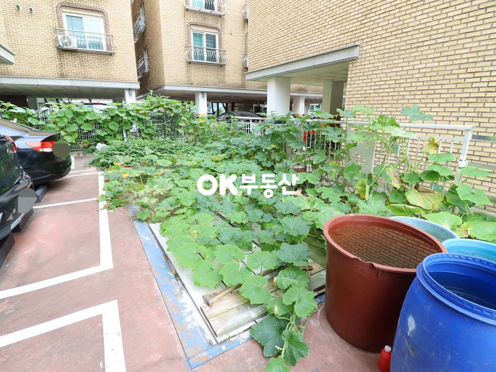 충남 천안동남구 신부동 다가구건물] 총월세 941만 ! (대지98평/연177평) 천안건물매매 신부동원룸매매 매매 매물번호 15029 사진 5