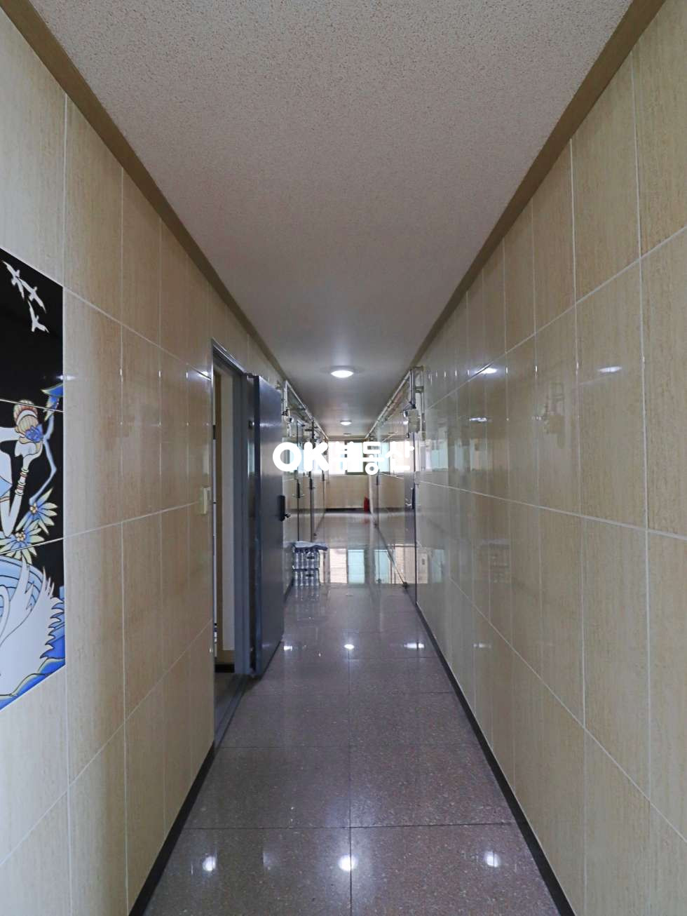 충남 천안동남구 신부동 다가구건물] 총월세 941만 ! (대지98평/연177평) 천안건물매매 신부동원룸매매 매매 매물번호 15029 사진 10