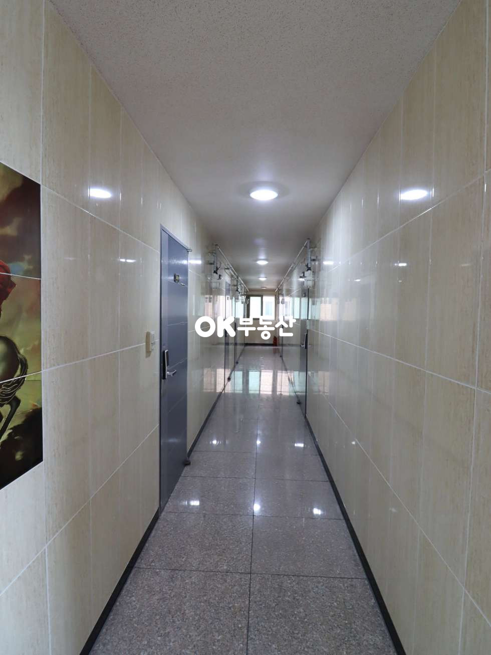 충남 천안동남구 신부동 다가구건물] 총월세 941만 ! (대지98평/연177평) 천안건물매매 신부동원룸매매 매매 매물번호 15029 사진 11
