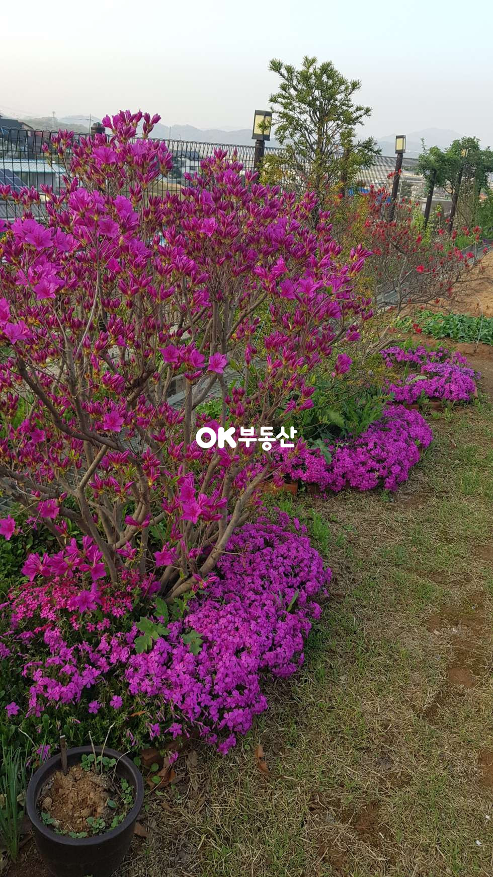 충남 천안동남구 풍세면 풍서리 천안 풍세면 제1종근린생활시설 ☆주택수 미포함•넓은텃밭•뻥뷰☆ 나만의 공간 매매 매물번호 18129 사진 6