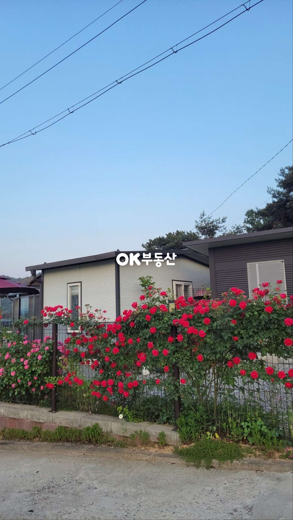 충남 천안동남구 풍세면 풍서리 천안 풍세면 제1종근린생활시설 ☆주택수 미포함•넓은텃밭•뻥뷰☆ 나만의 공간 매매 매물번호 18129 사진 8