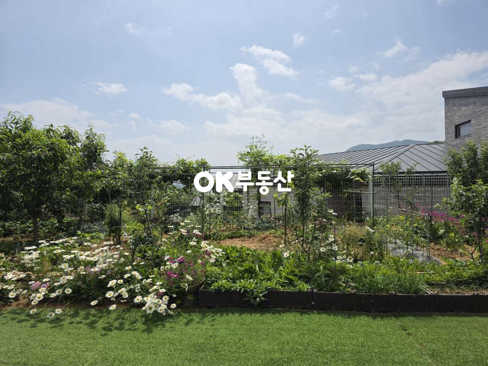 충남 아산시 배방읍 회룡리 5도2촌 배방읍 고급전원단지내 힐링아지트 매매 ☆컨테이너 하우스 + 잘 가꿔진 텃밭 통째로 가져 가세요!!☆ 토목공사 No, 기반시설 완비 매매 매물번호 18388 사진 10