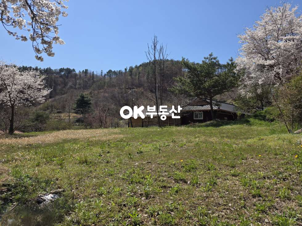 충남 천안동남구 광덕면 광덕리 광덕산 자락 아늑한 전원단지내 토지 ☆도로접한 154평 남향 알짜 부지 매매☆ 매매 매물번호 18282 사진 1