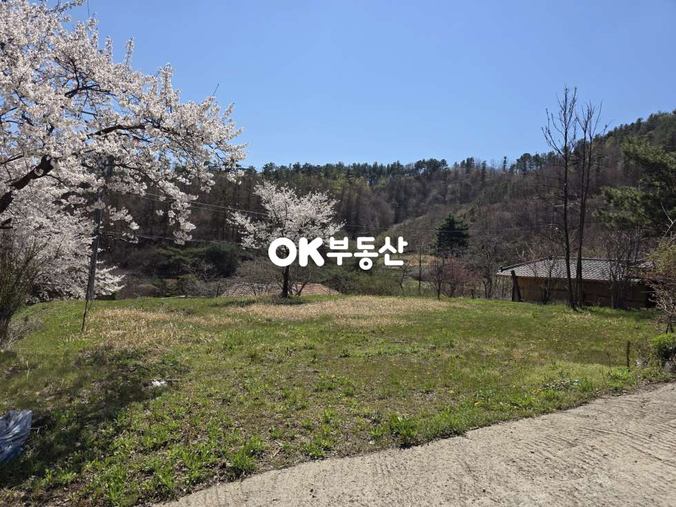 충남 천안동남구 광덕면 광덕리 광덕산 자락 아늑한 전원단지내 토지 ☆도로접한 154평 남향 알짜 부지 매매☆ 매매 매물번호 18282 사진 2