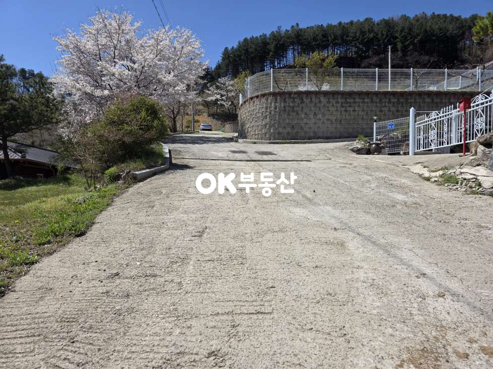 충남 천안동남구 광덕면 광덕리 광덕산 자락 아늑한 전원단지내 토지 ☆도로접한 154평 남향 알짜 부지 매매☆ 매매 매물번호 18282 사진 3