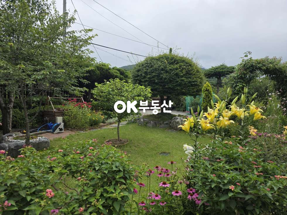 충남 천안서북구 입장면 홍천리 그림 같은 정원이 있는 입장면 전원주택매매 ☆가족 힐링 공간으로 충분한 집☆ 246평 2필지의 넓은부지 매매 매물번호 18441 사진 16