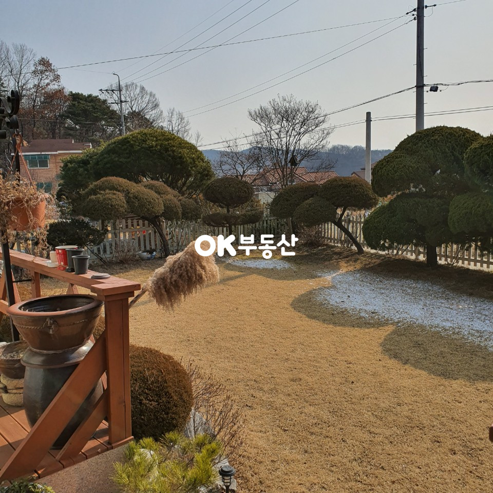 충남 아산시 배방읍 매매)배방 고가의정원수와 희귀 과실나무가 많은 이쁜 전원주택 입니다... 매매 매물번호 11186 사진 5