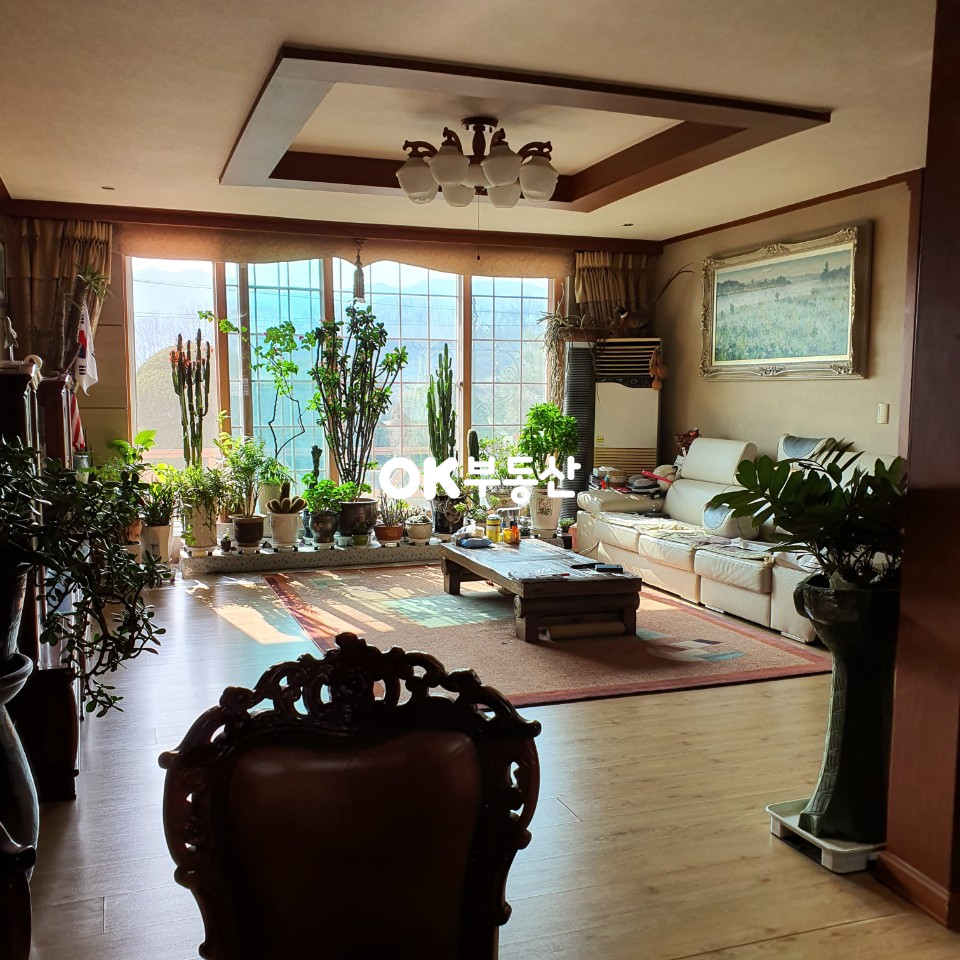 충남 아산시 배방읍 매매)배방 고가의정원수와 희귀 과실나무가 많은 이쁜 전원주택 입니다... 매매 매물번호 11186 사진 12