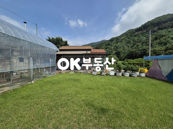 충남 천안동남구 병천면 봉항리 내 집 앞에서 낚시를??희소가치 높은 단 하나의 주택!!사방팔방 어디에서 바라보든 풍광이 기가 막힙니다~ 매매 매물번호 17626 사진 9
