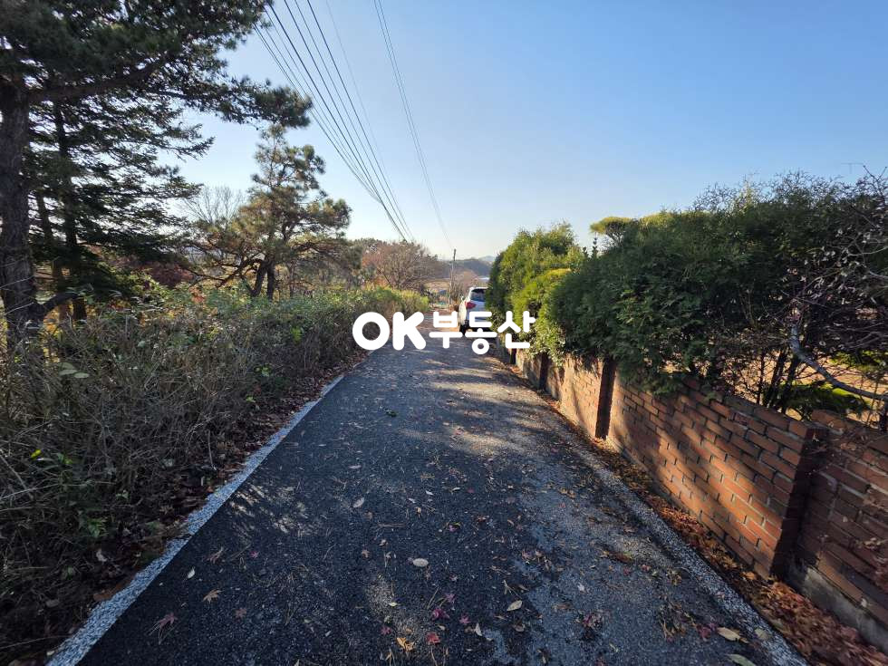 충남 천안서북구 입장면 홍천리 아산/평택 15분! 천안 입장면 정원 넓은 힐링 전원주택 ☆태양광•벽난로 설치☆ 창고 • 텃밭은 덤 매매 매물번호 17908 사진 8