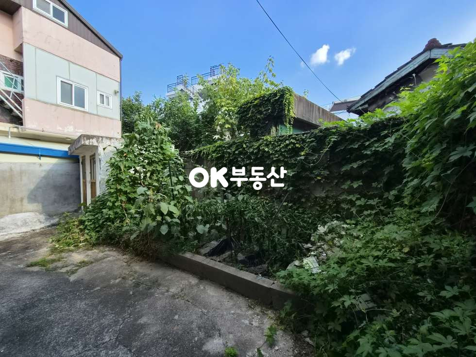 충남 천안동남구 다가동 2층 상가주택 건물이 1억4천?? 땅값도 안되는 초급매가! 전철역과 대학병원 인근 천안 다가동 코너 상가주택 매매!! 직접 상가운영하시거나 거주하면서 월세 받으세요~ 매매 매물번호 18495 사진 12