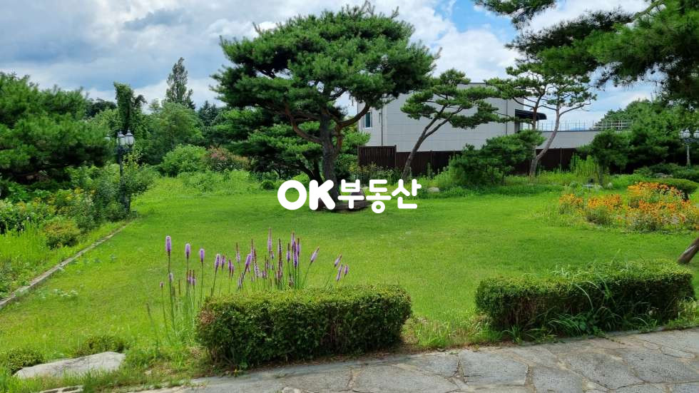 충남 천안서북구 입장면 홍천리 천안전원주택매매 (6필지 1447평 건물 70평) 매매 매물번호 16075 사진 7
