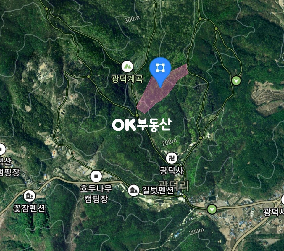 충남 천안동남구 광덕면 광덕리 천안 토지 매매 광덕 광덕리 임야 14100평 1억1천만원에 급매 해요 매매 매물번호 12310 사진 1
